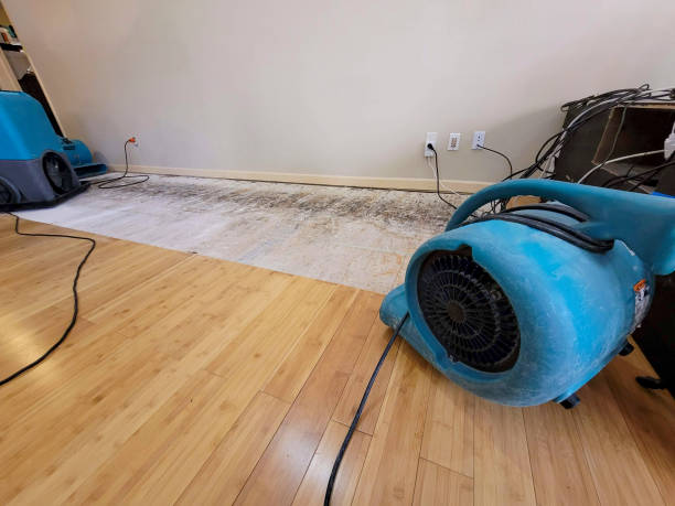 Professional Basement Flood Cleanup technician working in Helenwood, TN